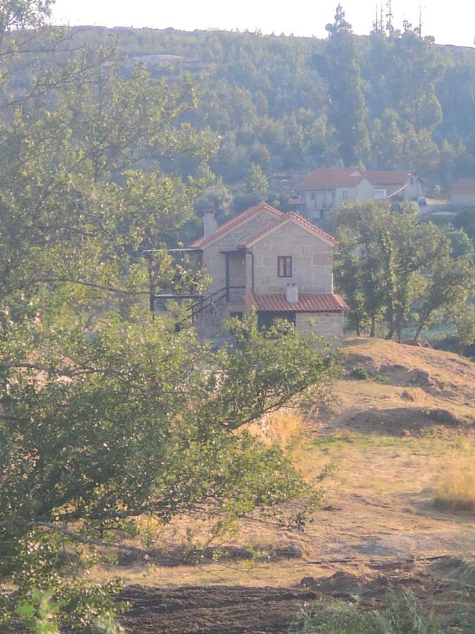 Апартаменти Quinta Da Adarnela Lagares da Beira Екстер'єр фото