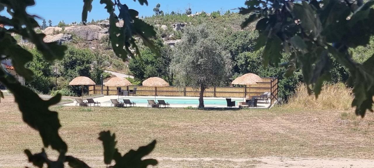 Апартаменти Quinta Da Adarnela Lagares da Beira Екстер'єр фото