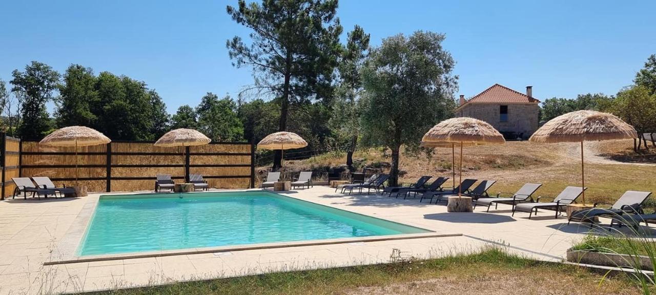 Апартаменти Quinta Da Adarnela Lagares da Beira Екстер'єр фото