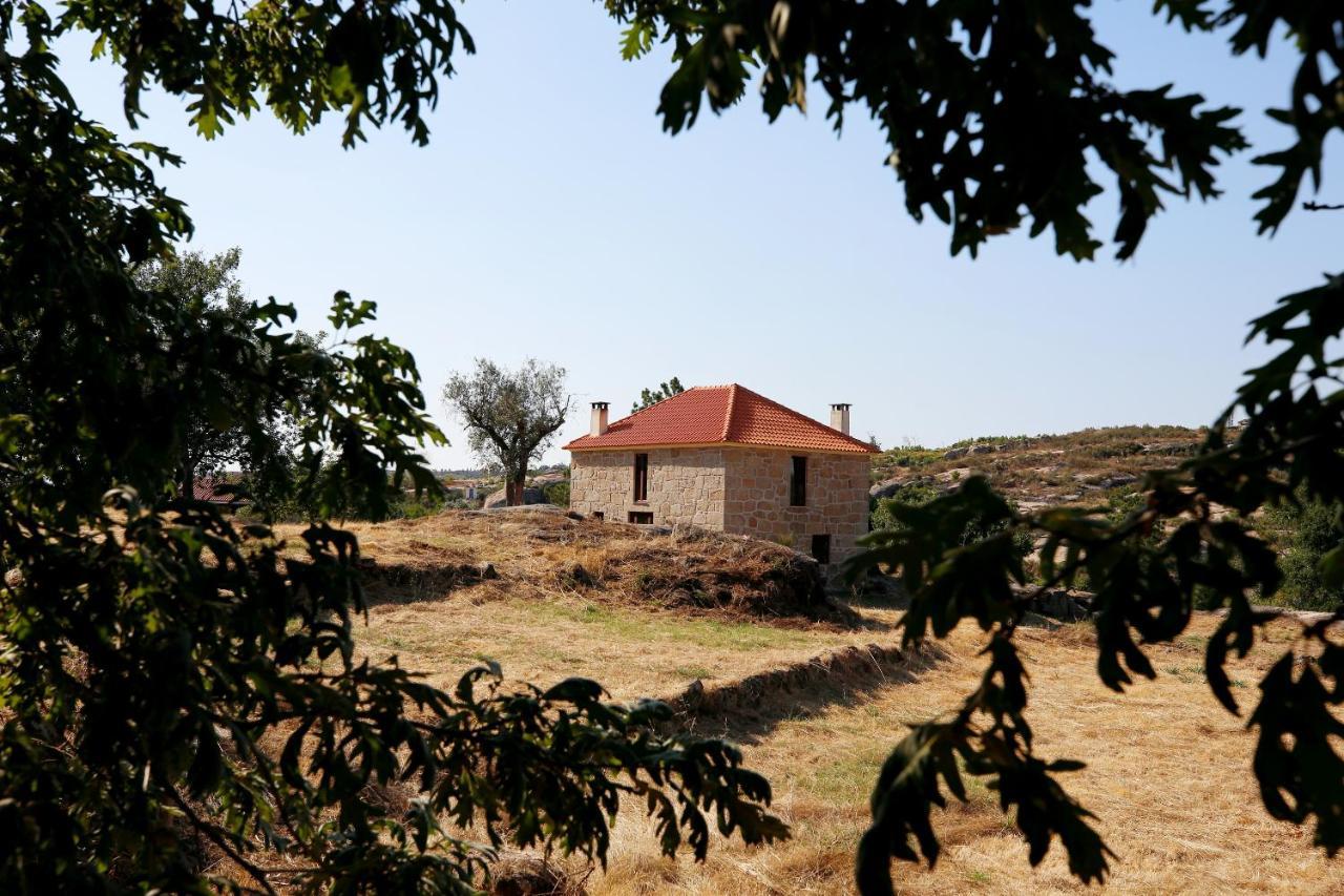 Апартаменти Quinta Da Adarnela Lagares da Beira Екстер'єр фото